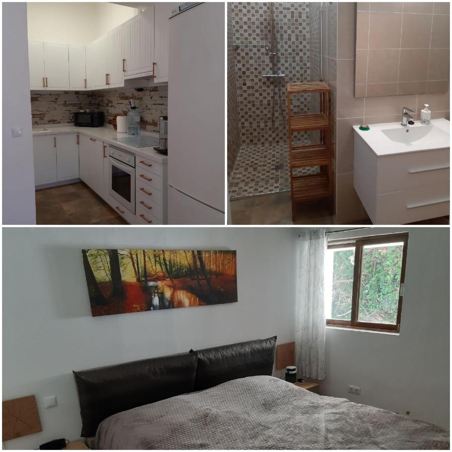 Schoene Wohnung In Puerto De La Cruz Mit Garten. Екстер'єр фото